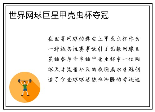 世界网球巨星甲壳虫杯夺冠