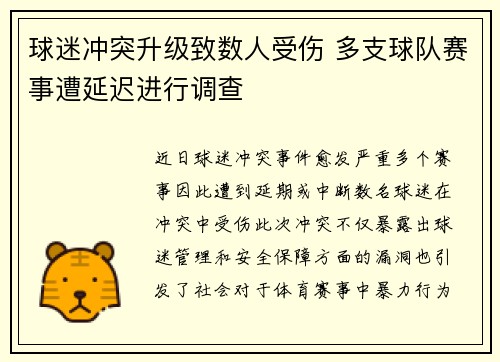 球迷冲突升级致数人受伤 多支球队赛事遭延迟进行调查